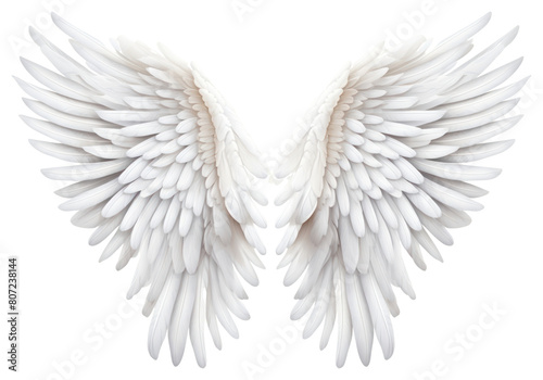 PNG Angel bird archangel feather.
