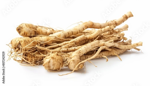 Siberian ginseng known as Eleutherococcus senticosus is a medicinal herb often used in Chinese medicine with a history of folklore use
