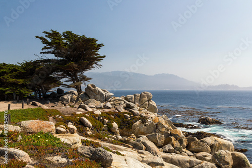 unique and breathtaking panoramic view in front of a flower field and cypresses over the ocean at Carmel bay in Pebble Beach, california