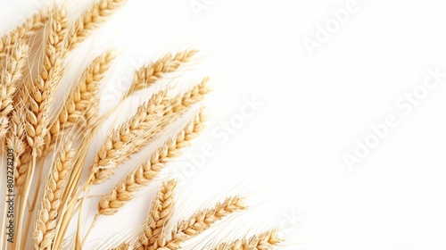 Golden ripe wheat sheaves decorative background