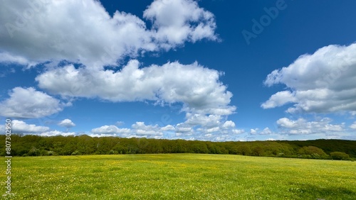 green field and blue sky eifel
