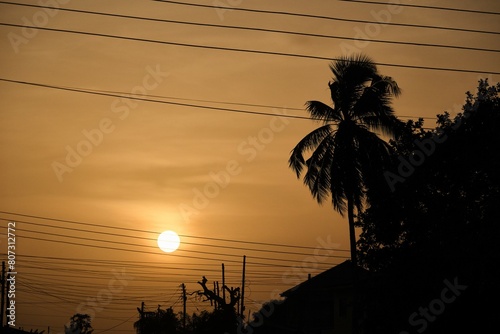 Silhouette of low setting full round sun framed with electricity and telephone cable wires and palm trees, Accra, Ghana