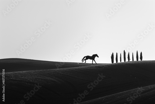 horse running free in the hills of the Crete Senesi in Tuscany, Italy, freedom, minimalist image, strength