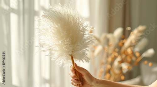 feather duster in hand, a cleaner gracefully erases dust from delicate surfaces