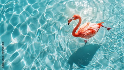 Top view of shadow on pool water surface with a pink flamingo floating in the water. Beautiful abstract background concept banner.