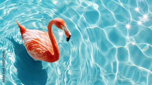 Top view of shadow on pool water surface with a pink flamingo floating in the water. Beautiful abstract background concept banner.