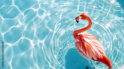 Top view of shadow on pool water surface with a pink flamingo floating in the water. Beautiful abstract background concept banner.