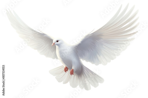 PNG Animal flying white bird
