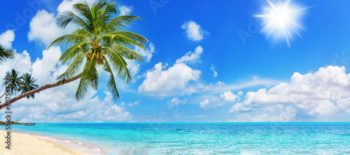 Tropical island paradise sea beach, ocean water, green coconut palm tree leaves, sand, sun blue sky cloud, beautiful nature panorama landscape, Caribbean, Maldives, Thailand, summer holidays, vacation