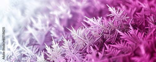 Berry frost gradient from icy purple to frosty white in a wintry abstract wireframe crisp cool