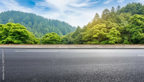 Asphalt road side view with forest.