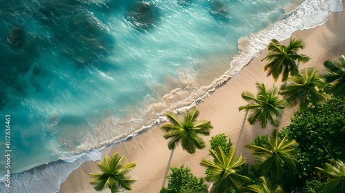 Aerial view of beautiful tropical beach with palm trees and sand