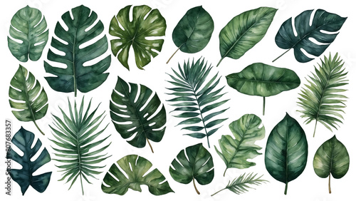 set of green tropical leaves, watercolor style collection on transparent background, designs for invitations, greeting cards, letterheads