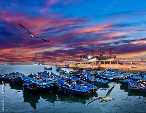 Essaouira Morocco - a flock of birds flying over a bunch of boats