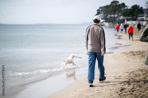 Man walking his dog on the beach. Unrecognizable people walking on Milford Beach. Auckland.