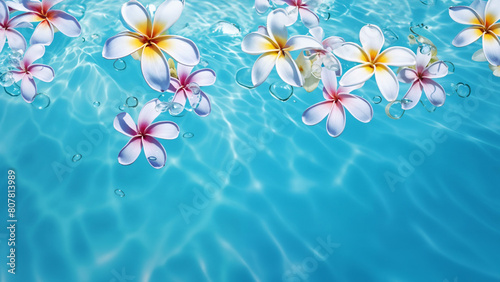 Transparent tropical water texture surface with tropical plumeria flowers. Concept for travel. Copy space..