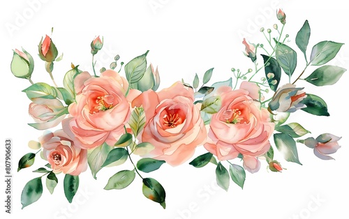 watercolor flower arrangement. flower illustration. composition of pink roses, leaves and buds