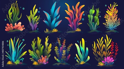 Illustration of various aquatic plants with colorful leaves. Natural seabed flora - marine algae, corals and oceania.