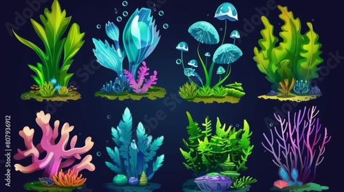 Marine or aquarium seaweed, corals, fish, and jellyfish for sea bottom design. Ocean aquatic tropical world vibrant creatures and algae.