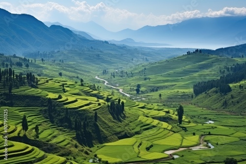 Rwanda landscape. Majestic Green Terraced Fields in a Lush Valley Landscape.