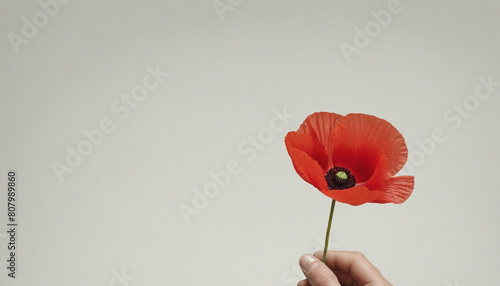  Memorial banner featuring a beautiful red poppy flower, a symbol of remembrance and tribute to fallen soldiers 