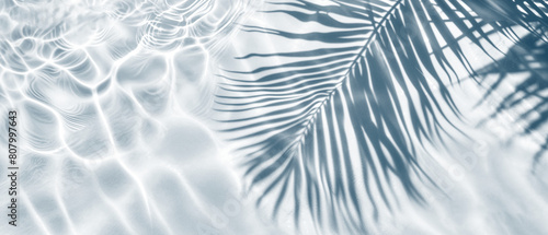 Transparent Shadow Overlay Effect. Palm Leaves, Water Ripples and Sunlight Reflections on transparent Background. Ideal for Product Placement. 