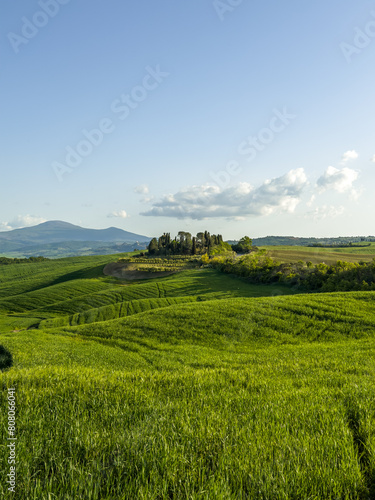 jedno ze słynnych wzgórz w Toskanii na którym stoi tradycyjna willa otoczona zielonymi polami uprawnymi i wysokimi cyprysami