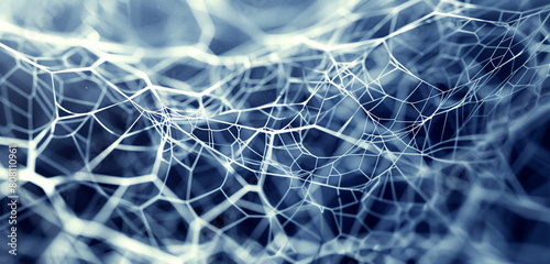 Frosty white and midnight blue create a delicate network of spiderweb lines.
