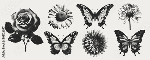 Flower, rose, butterfly, chamomile elements in the retro copy style. Elements for the y2k design. The effect of grain and dotted lines. Modern vector illustration.