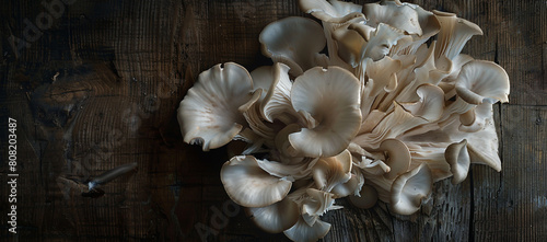 oyster mushrooms growing on a wooden table, top view, dark background,