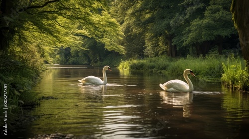 Roman road running beside a tranquil river with graceful swans gliding