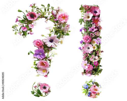 Flower font exclamation mark and question mark made of colorful floral letters isolated on white background. Spring or summer flower font.