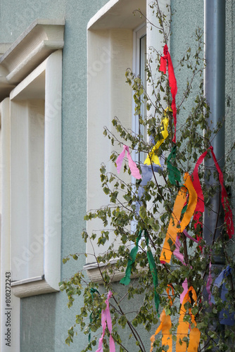 Small may tree with colorful crepe paper on a house wall in the Rhineland