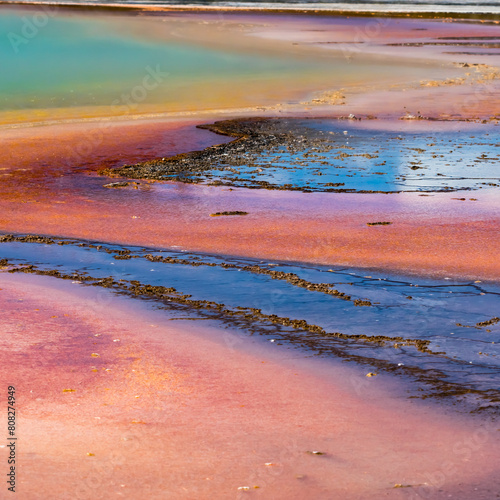 A close up of the colourful Grand Prismatic Spring in Yellowstone National Park.