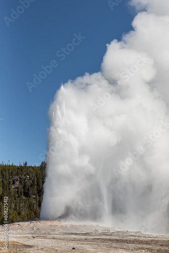 Old Faithful geyser in full eruption at Yellowstone National Park.