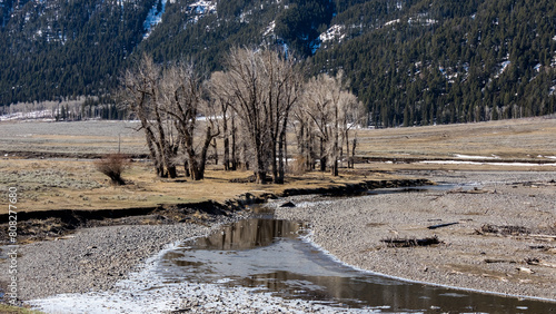 A view of the landscape in the Lamar Valley in Yellowstone National Park.