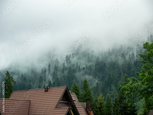 fog on the lake