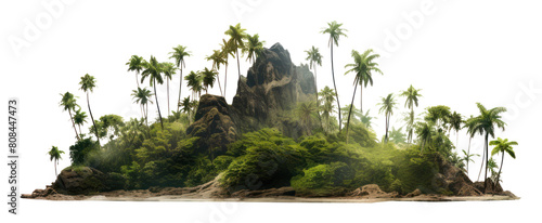 PNG Island vegetation reflection landscape.