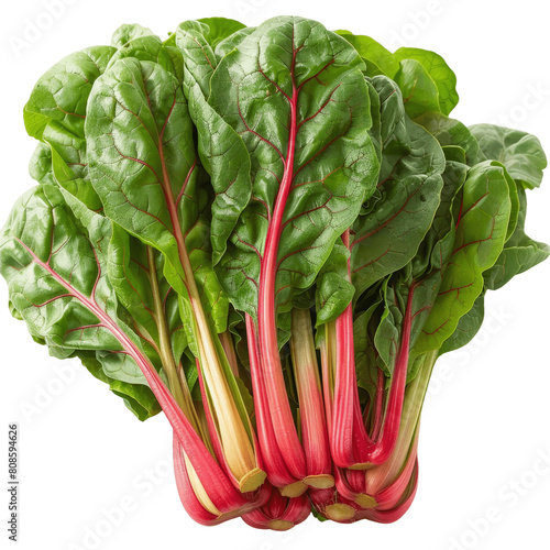 A photo of fresh and organic swiss chard with red stems.