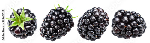Set of four blackberries on white background. File contains clipping paths.