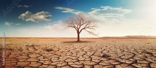 There is a copy space image depicting the concept of a dry and parched landscape due to a prolonged period of drought