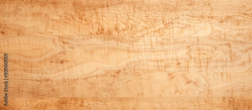 A natural textured plywood background with copy space image