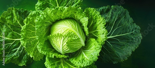 A top down perspective of a cabbage on a vibrant green backdrop with space for additional images or content