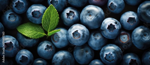 A top view image of ripe freshly picked blueberries with a close up to highlight their perfection The vibrant seasonal summer berries make for healthy vegan snacks rich in antioxidants Ideal copy spa