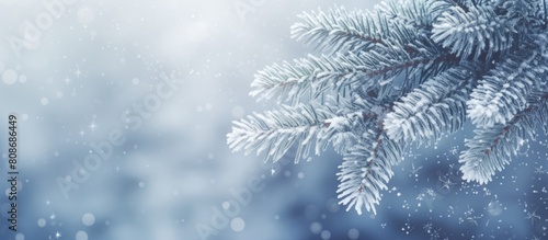 Snowy pine tree in a Christmas scene with frost covered fir branches creating a winter wonderland A calm backdrop with blurred snowflakes creates a winter time background providing an area for copy s
