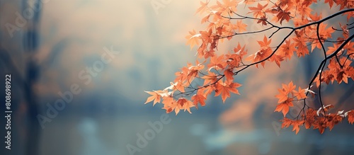 As the vibrant colors of autumn fade the anticipation of winter s arrival brings forth a serene beauty in nature A close up view with toning effects creates a captivating image. Copy space image