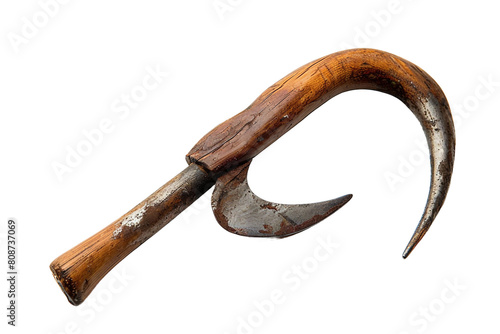 Hoof Pick isolated on transparent background