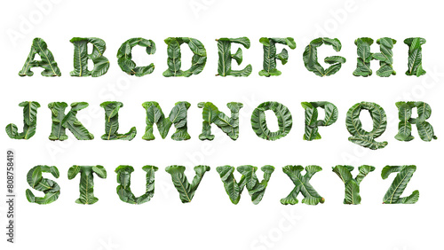 Green Fiddle leaf 3D Render Alphabet Letters Typeface cutout on transparent background