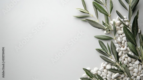Photo of A olive branch and white pebbles on the right side, placed against a plain light grey background Web banner with copyspace in left corner