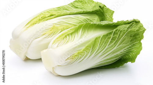 Chinese cabbage on white background, photo shot